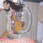 Vraj-Yatra-2014- (2493)